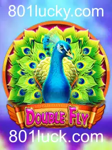 Explorando o Fascinante Mundo de DoubleFly: Um Guia Completo